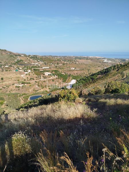 Foto 62147011-f20e-48d4-8b16-92654b7e4cdc. Finca rústica a Camino Viejo de Málaga Vélez - Málaga