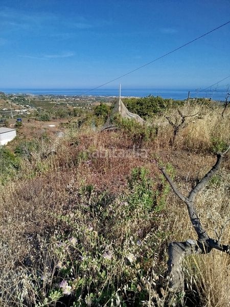 Foto 694d0e48-7da3-43a7-97c3-1de50cca3c7a. Finca rústica a Camino Viejo de Málaga Vélez - Málaga