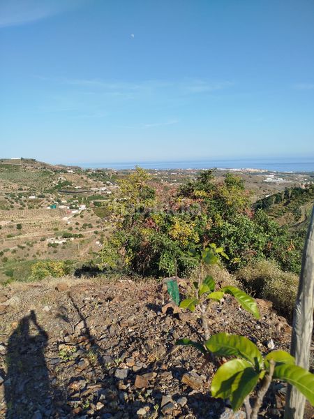Foto b5652d54-8d00-41c0-a577-3f07fd828f57. Finca rústica a Camino Viejo de Málaga Vélez - Málaga