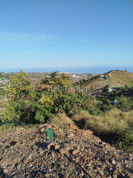Foto b8ddb168-716b-4a7e-9683-2b2d727ea7d9. Finca rústica a Camino Viejo de Málaga Vélez - Málaga
