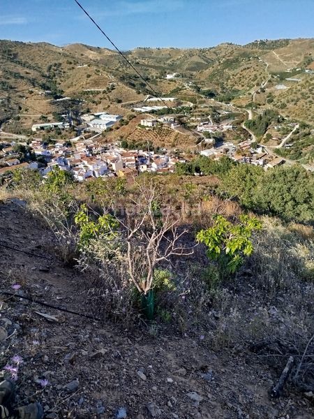 Foto db15c1fc-e0cd-4117-ba54-b8e98b317300. Finca rústica a Camino Viejo de Málaga Vélez - Málaga
