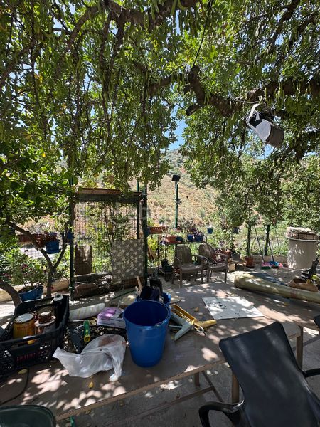 Foto 50c6ff42-7eb6-4c97-96d8-7b8f99244cfc. Masia amb xemeneia piscina a Benamargosa