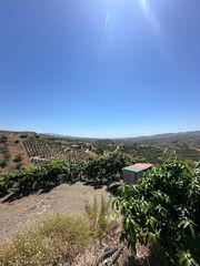 Fondo rustico in Benamargosa. ???? ¡gran oportunidad de inversión en benamargosa! ????