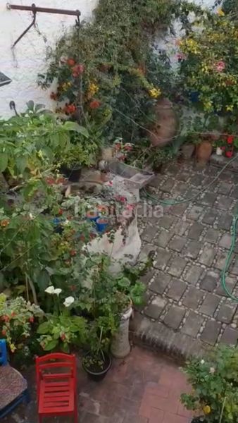 Foto 6d7edb1b-ed0d-4ce3-820c-0fee7c01cb86. Casa amb xemeneia a Benamocarra