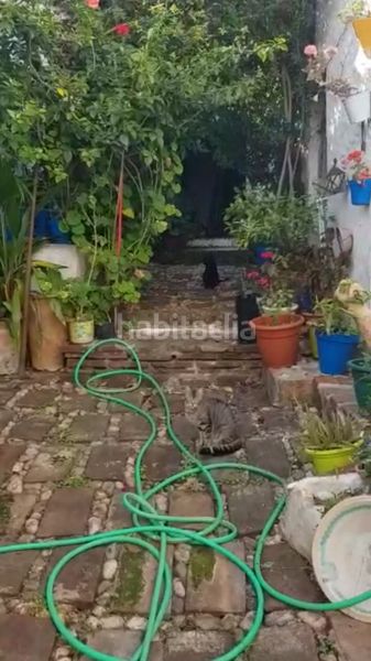 Foto bea8f55f-2648-41fc-828e-0134444ab315. Casa amb xemeneia a Benamocarra