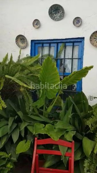 Foto d87acc73-e5c2-4a48-a70a-c6bca4a81037. Casa amb xemeneia a Benamocarra