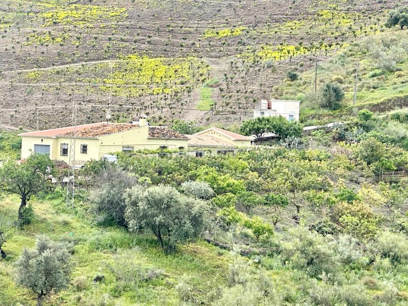 Foto 41a064d1-fed5-4644-aea2-7c7f7e9775ed. Masía vivienda rural familiar con gran parcela y buena ubicación en Vélez - Málaga