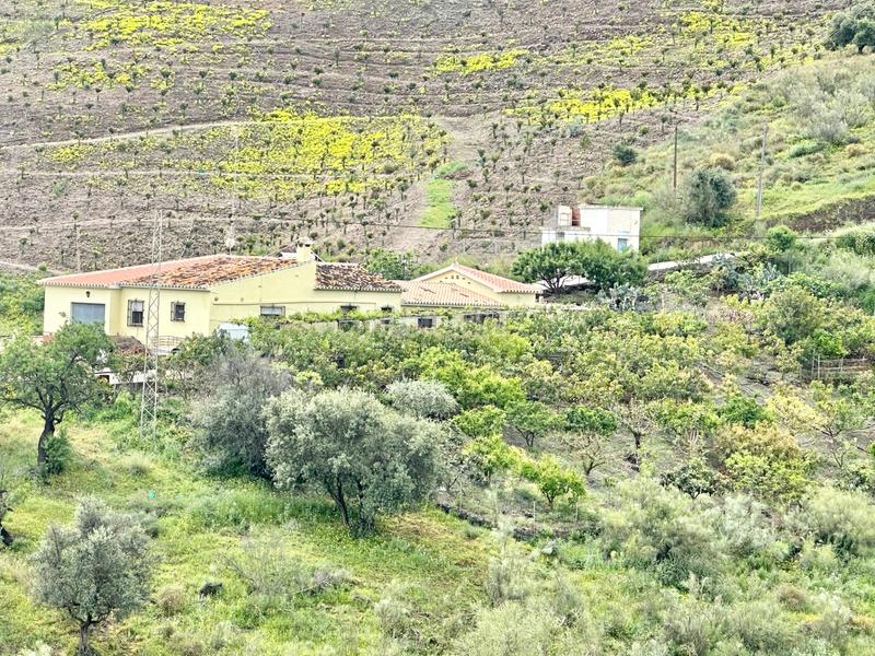 Foto e458d72e-ec20-4596-a78e-fe6edb7491e9. Masía vivienda rural familiar con gran parcela y buena ubicación en Vélez - Málaga