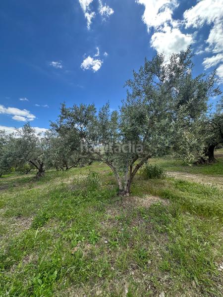 Foto 01377216-1bcf-43b0-b0d0-756bcf175ab3. Finca rústica a Periana
