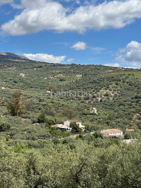 Foto 2a1a90a4-9cc7-48dd-9d0c-466ea22cc61f. Finca rústica a Periana