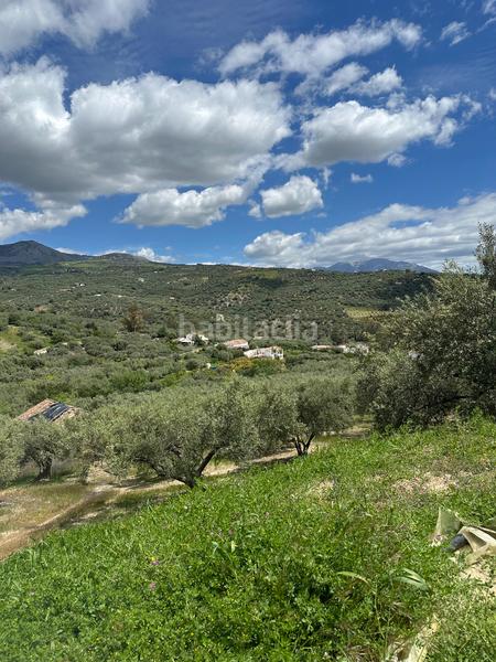 Foto 6a983b2b-cdb1-4730-a1a1-fcb5e783a05f. Finca rústica a Periana