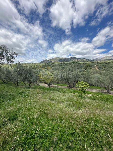 Foto 716bd2f2-ce90-44f9-87c5-5a2c12e96aab. Finca rústica a Periana