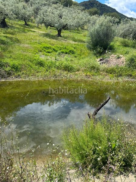 Foto 7e78b4fd-84c9-49a9-b7fe-be747dc800d5. Finca rústica a Periana