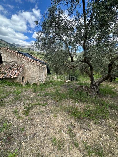 Foto 82cc0a3f-ea69-484a-a232-9b0e3423798c. Finca rústica a Periana