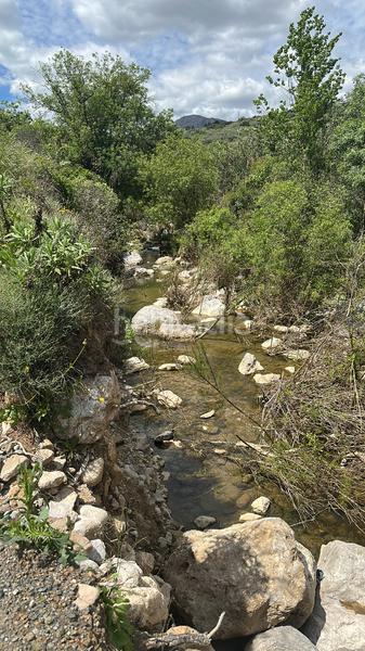 Foto 8a84199e-5642-46ad-a436-8fb7abc97fb4. Finca rústica a Periana