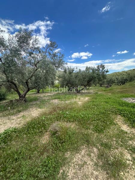 Foto 99c4377b-4b2c-44e4-95d1-2339939b9e05. Finca rústica a Periana