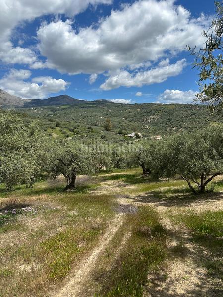 Foto c307d433-25b0-4d5b-8517-0b39dde762c3. Finca rústica a Periana
