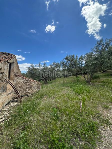 Foto c957baad-a008-4bed-9c0e-03a42a870dcc. Finca rústica a Periana