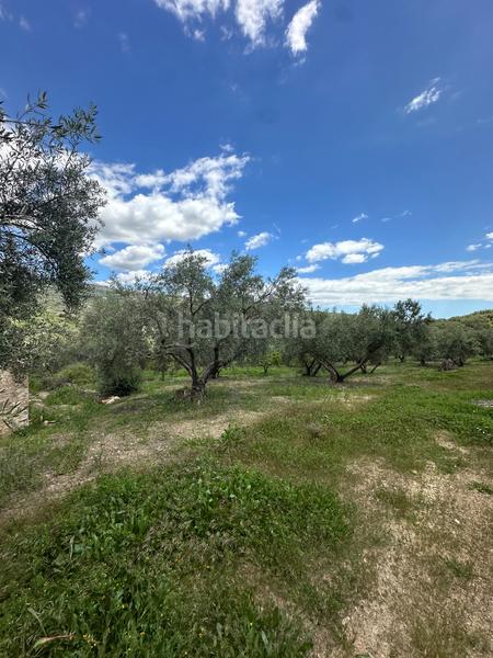 Foto cad41b0f-33d6-459a-aee0-4511b2c796f6. Finca rústica a Periana