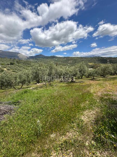 Foto d7f9e860-0ec4-4eab-9268-e2d46fa46088. Finca rústica a Periana