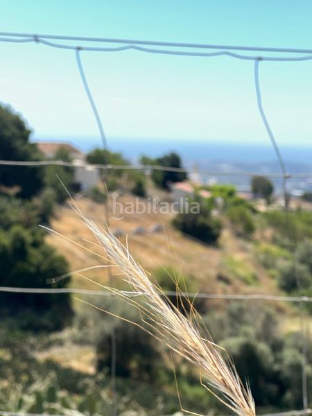 Foto 03388dbc-e207-40de-9965-4bb9a9cc026a. Finca rústica a Norte - Barrio del Pilar - El Reñidero Vélez - Málaga