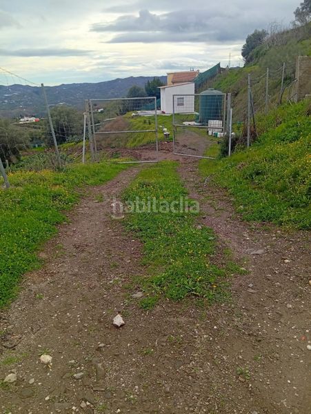 Foto 1fcb5eed-1a21-4e82-acbd-461ae69865d4. Finca rústica a Norte - Barrio del Pilar - El Reñidero Vélez - Málaga
