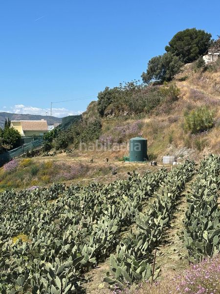 Foto 42b2d255-d975-4286-b4f2-92b33d07f4ce. Finca rústica a Norte - Barrio del Pilar - El Reñidero Vélez - Málaga