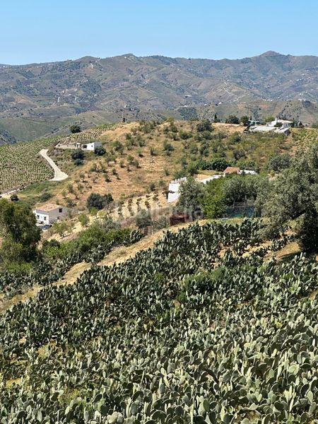 Foto 77dad9b4-5d06-43f6-8445-fe2b275d23c3. Finca rústica a Norte - Barrio del Pilar - El Reñidero Vélez - Málaga
