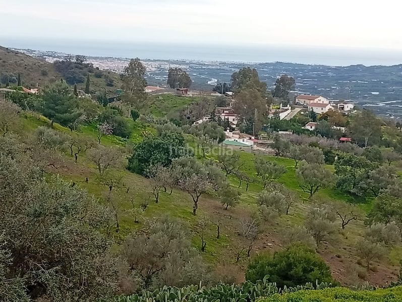 Foto 7ab4ddb5-4173-44e3-89f5-2c6e391b7b6f. Finca rústica a Norte - Barrio del Pilar - El Reñidero Vélez - Málaga