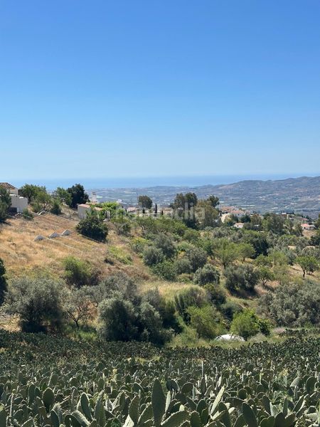 Foto 7e4de467-dd9c-45e0-9e7e-489bbb7edb08. Finca rústica a Norte - Barrio del Pilar - El Reñidero Vélez - Málaga