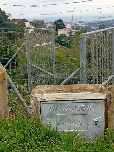 Foto 8125cbd3-68bc-4b88-a8f2-f30adcb639b9. Finca rústica a Norte - Barrio del Pilar - El Reñidero Vélez - Málaga