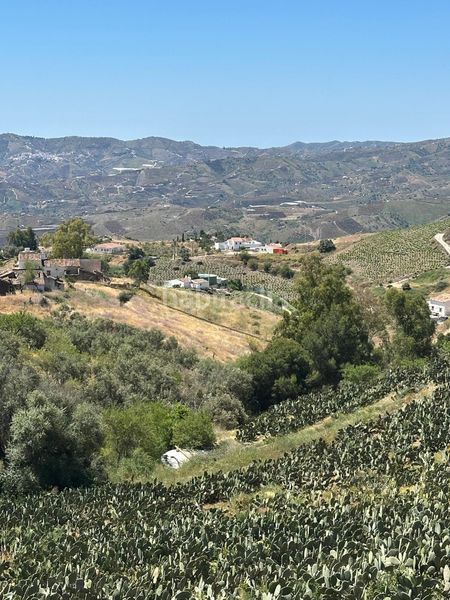 Foto 9132f82f-c2a0-43bb-81dd-51b52d11cc90. Finca rústica a Norte - Barrio del Pilar - El Reñidero Vélez - Málaga