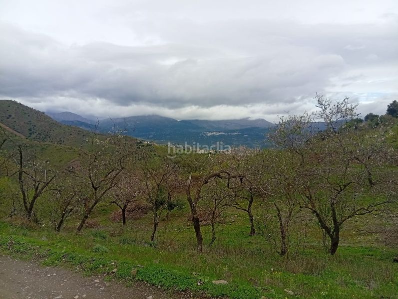 Foto bd7378bd-6934-41d0-a647-9a29a1c6364e. Finca rústica a Norte - Barrio del Pilar - El Reñidero Vélez - Málaga