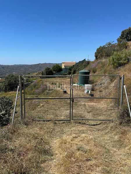 Foto d3076f86-12ce-41c9-88ac-93b590e7dfbc. Finca rústica a Norte - Barrio del Pilar - El Reñidero Vélez - Málaga