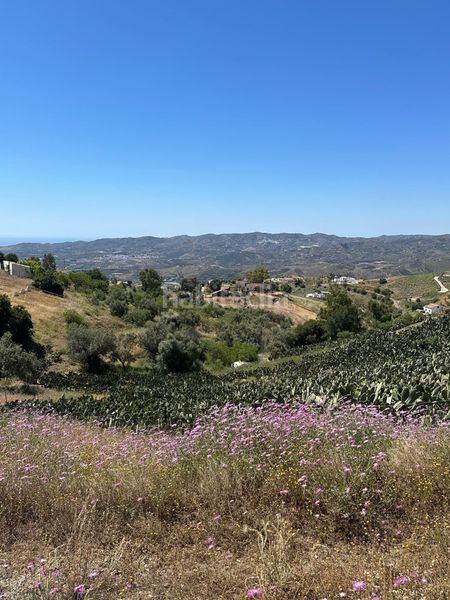 Foto d96a0c28-f4f1-42a0-9009-920a27ca692f. Finca rústica a Norte - Barrio del Pilar - El Reñidero Vélez - Málaga