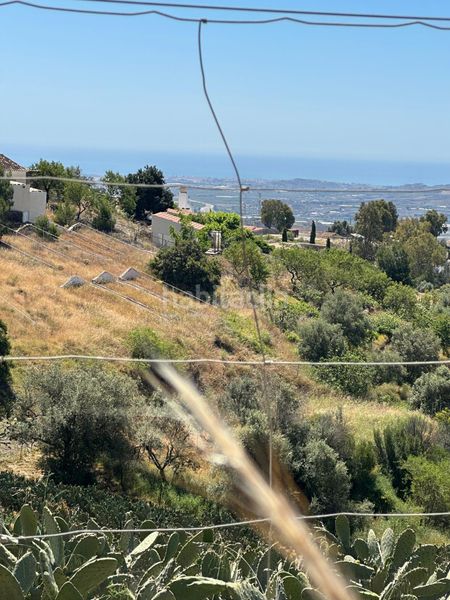 Foto d9d180d1-9ad7-4772-8a13-d2b98c15c66a. Finca rústica a Norte - Barrio del Pilar - El Reñidero Vélez - Málaga