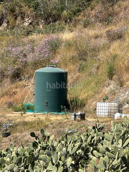 Foto db8fced4-99cd-42d1-9ddf-9849e41d5281. Finca rústica a Norte - Barrio del Pilar - El Reñidero Vélez - Málaga