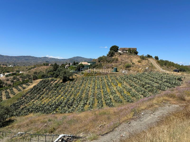 Foto f4401db3-671c-43fc-8d69-c9101fe1ada2. Finca rústica a Norte - Barrio del Pilar - El Reñidero Vélez - Málaga