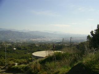 Finca rústica a Camino Viejo de Málaga. Parcela con plantación de mango en el cerrato, vélez-málaga