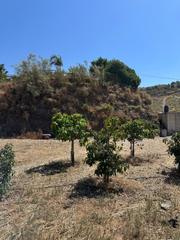 Finca rústica a Camino Viejo de Málaga. Terreno de 3900 m2 con plantación de aguacates ??