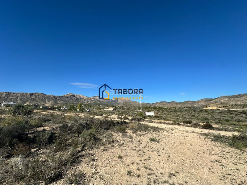 Foto 1a0c654e-949d-4c49-8e50-a3f1c5cd95ed. Finca rústica a calle de la morera 11 a Moralet Alicante