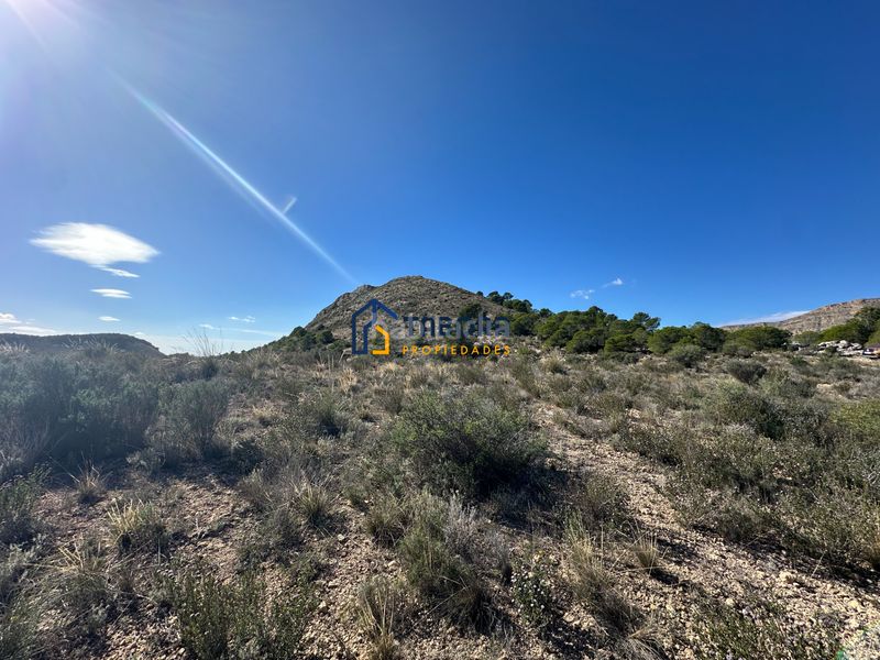 Foto 5d9f9b37-f369-4344-a315-3b253a78b17c. Finca rústica a calle de la morera 11 a Moralet Alicante
