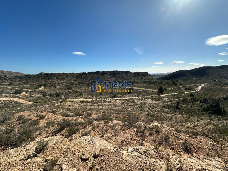 Foto 8da0b7ed-e878-4973-96ca-77d490c11468. Finca rústica a calle de la morera 11 a Moralet Alicante