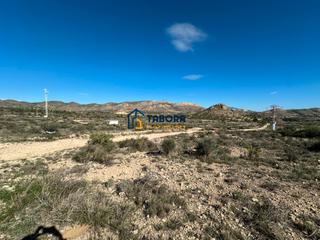 Finca rústica  Calle de la morera 11. Parcela uso urbano 1068 metros