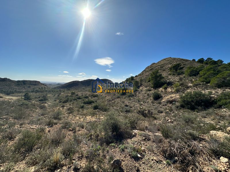 Foto e693ffa6-6949-4b06-972f-b0f80a333577. Finca rústica a calle de la morera 11 a Moralet Alicante