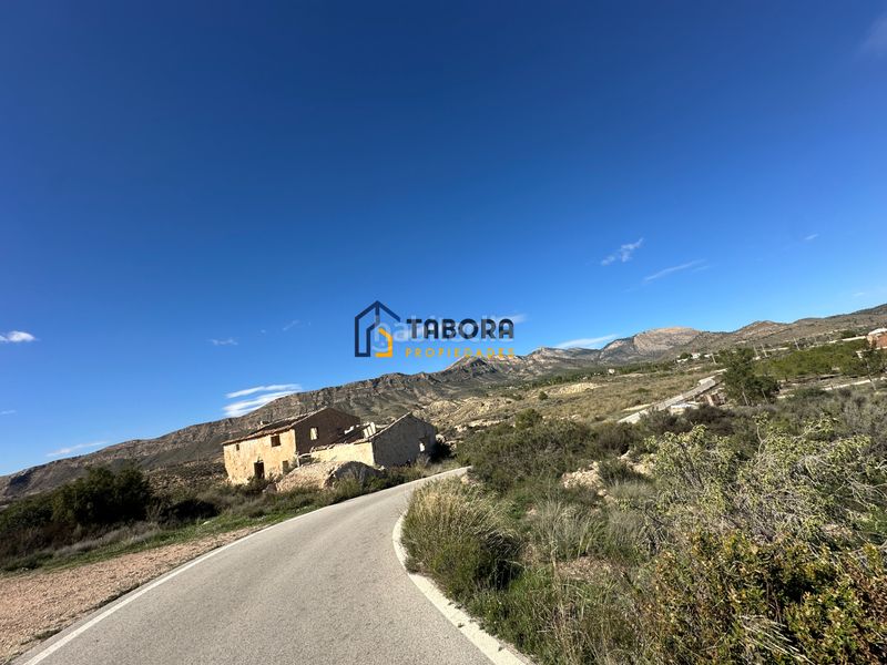 Foto ea6b8833-2970-4d5e-8a84-441823ce044b. Finca rústica a calle de la morera 11 a Moralet Alicante