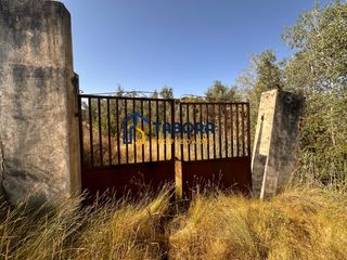 Finca rústica en Avinguda de la constitució 8. Terreno rústico junto a río verde