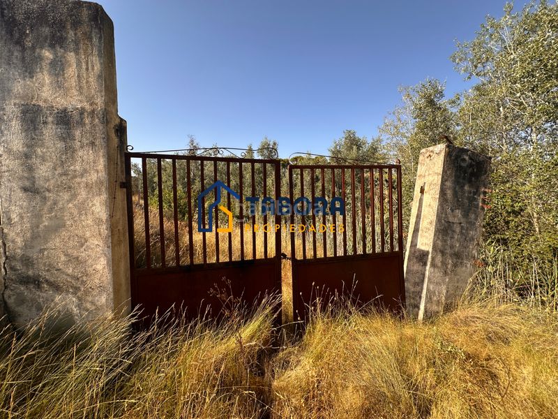 Foto 4d7a350c-a28a-41fd-9b39-ef2651be38c2. Finca rústica a avinguda de la constitució 8 a Castalla