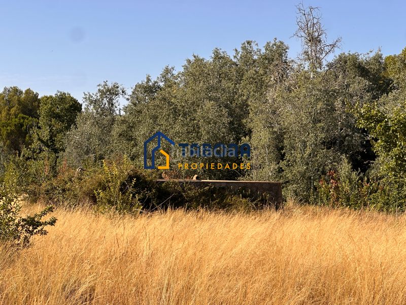 Foto a703247b-fbd3-4876-b81d-c0b44d9cef8a. Finca rústica a avinguda de la constitució 8 a Castalla