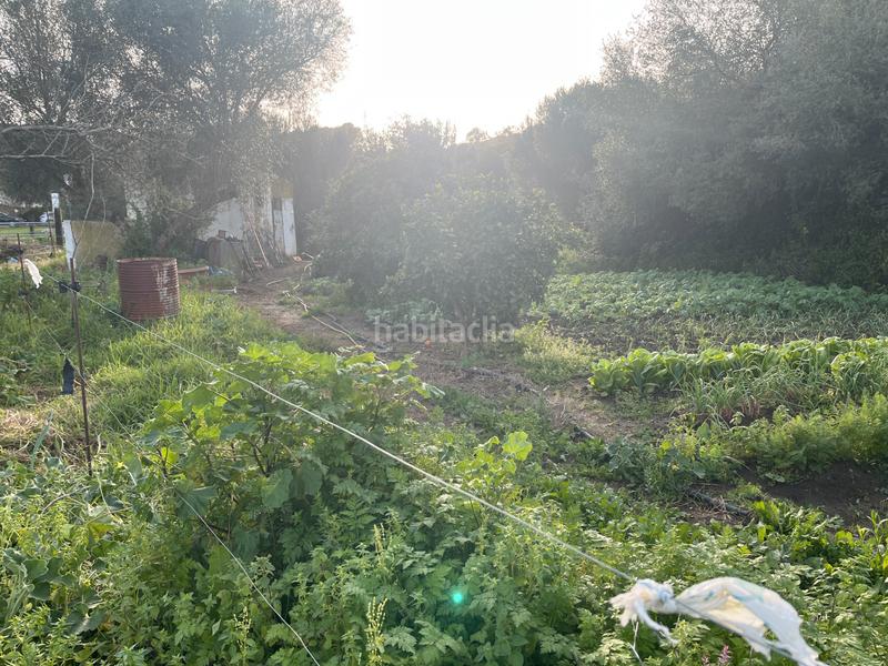 Foto 94c413d6-b789-4e0a-9d1f-924d6de75339. Casa 3 casas independientes con terreno en Vejer Vejer de la Frontera